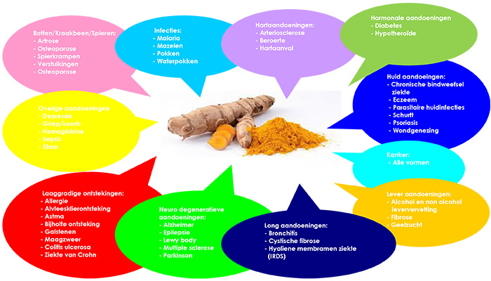 Curcuma