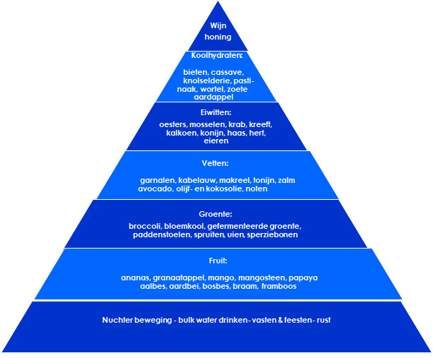 pni piramide